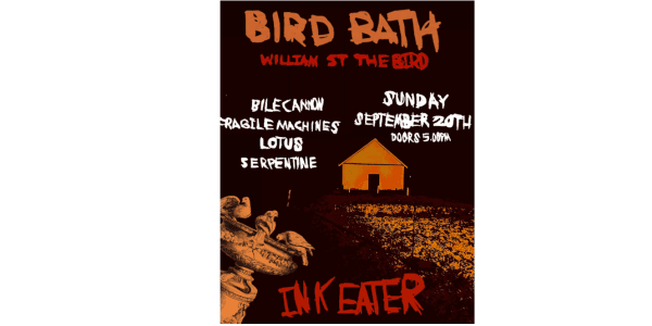 BIRD BATH poster